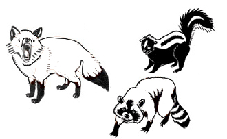 wild animals clipart